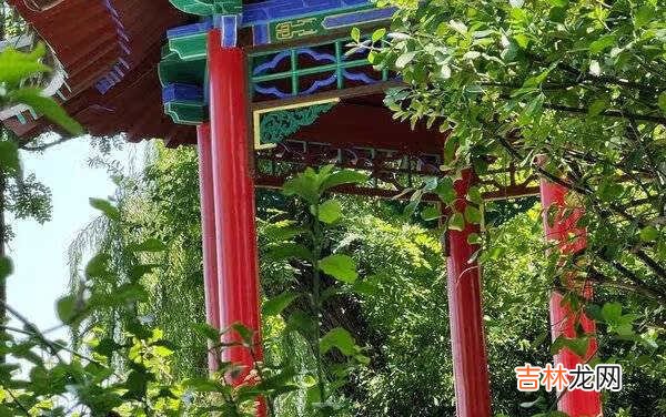 vivox70pro+拍照怎么样_vivox70pro+拍照效果测评