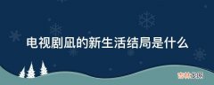 电视剧凪的新生活结局是什么?