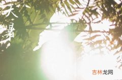 大暑时间2023年几点几分