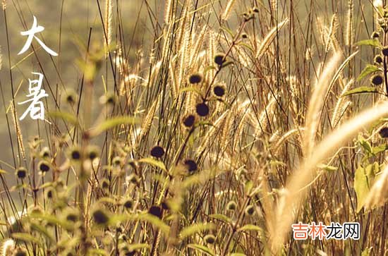 今年大暑是几月几日几点几分2023