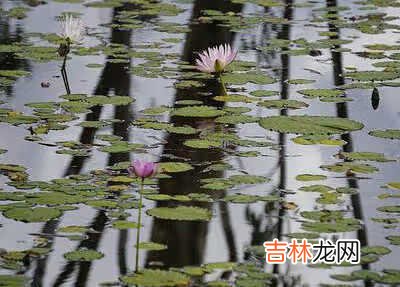 中国十大最有良心国漫-十大催泪虐心国漫