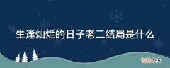 生逢灿烂的日子老二结局是什么?