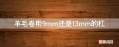 羊毛卷用9mm还是13mm的杠?