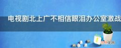 电视剧北上广不相信眼泪办公室激战第几集?