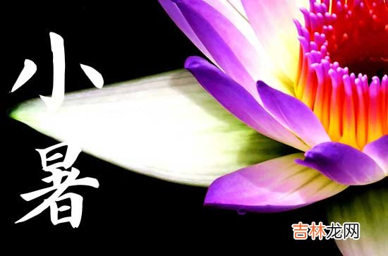 2023年小暑是几月几号,2023年小暑是几月几日