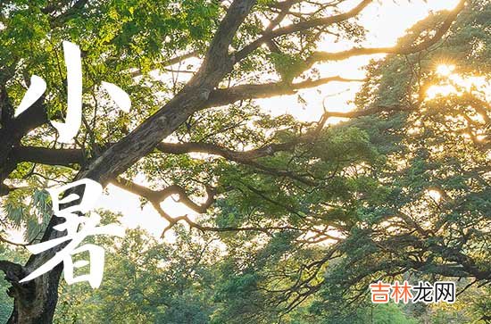 2023年小暑之后几天入伏