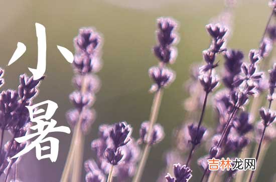 2023年哪天是小暑节气