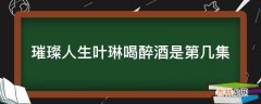 璀璨人生叶琳喝醉酒是第几集?