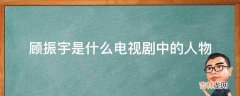 顾振宇是什么电视剧中的人物?