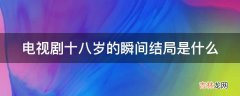 电视剧十八岁的瞬间结局是什么?