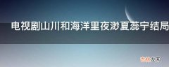 电视剧山川和海洋里夜渺夏蕊宁结局在一起了吗?