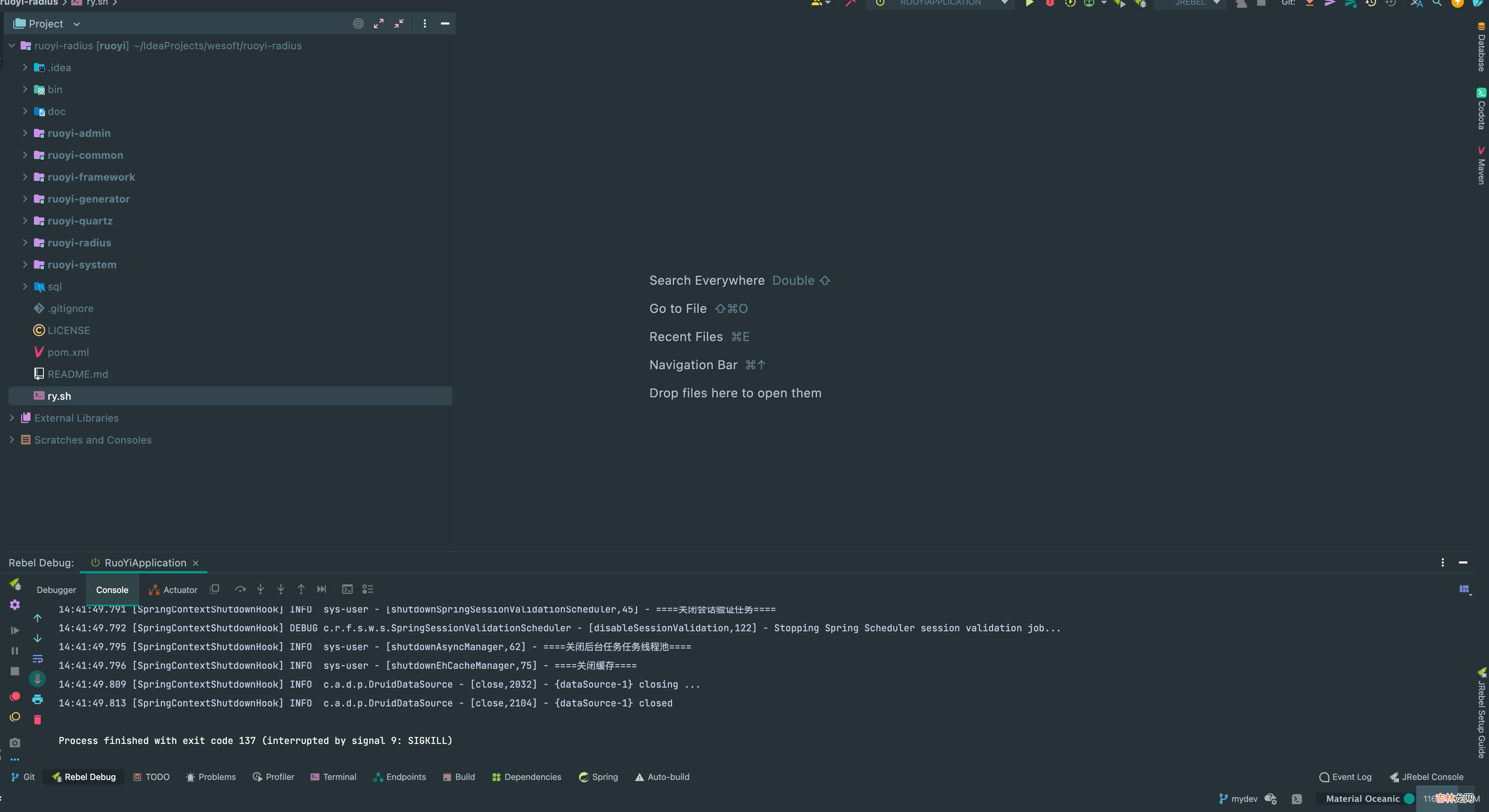 【保姆教程】RuoYi-Radius搭建实现portal认证
