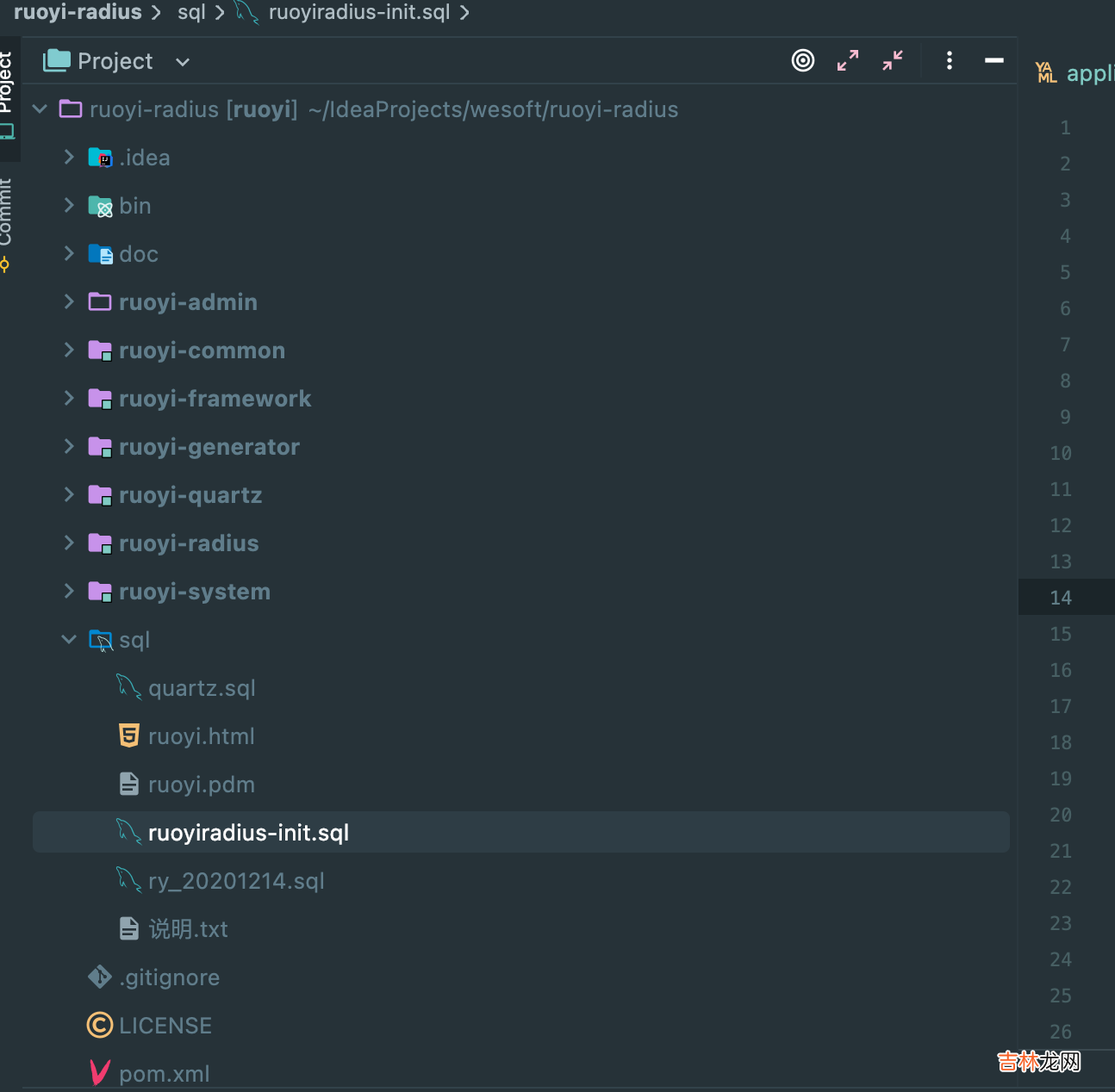 【保姆教程】RuoYi-Radius搭建实现portal认证