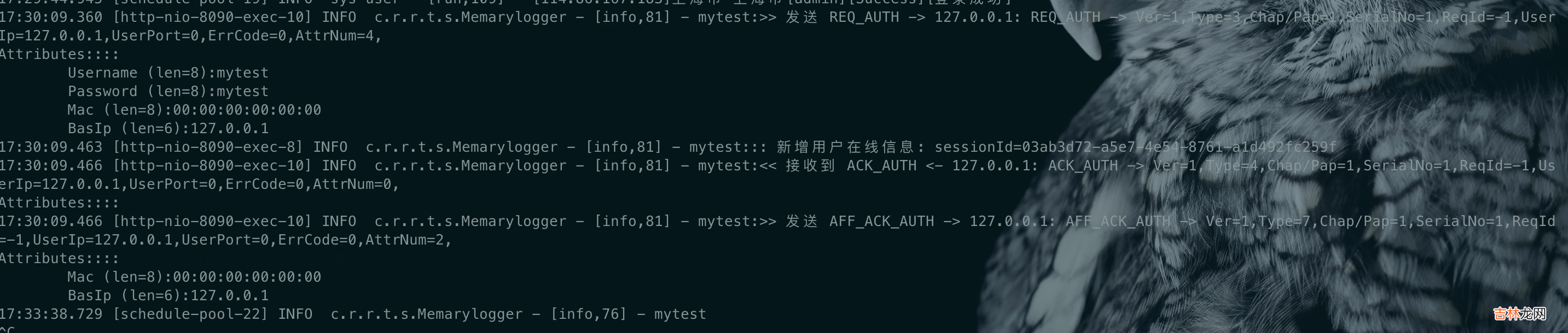 【保姆教程】RuoYi-Radius搭建实现portal认证