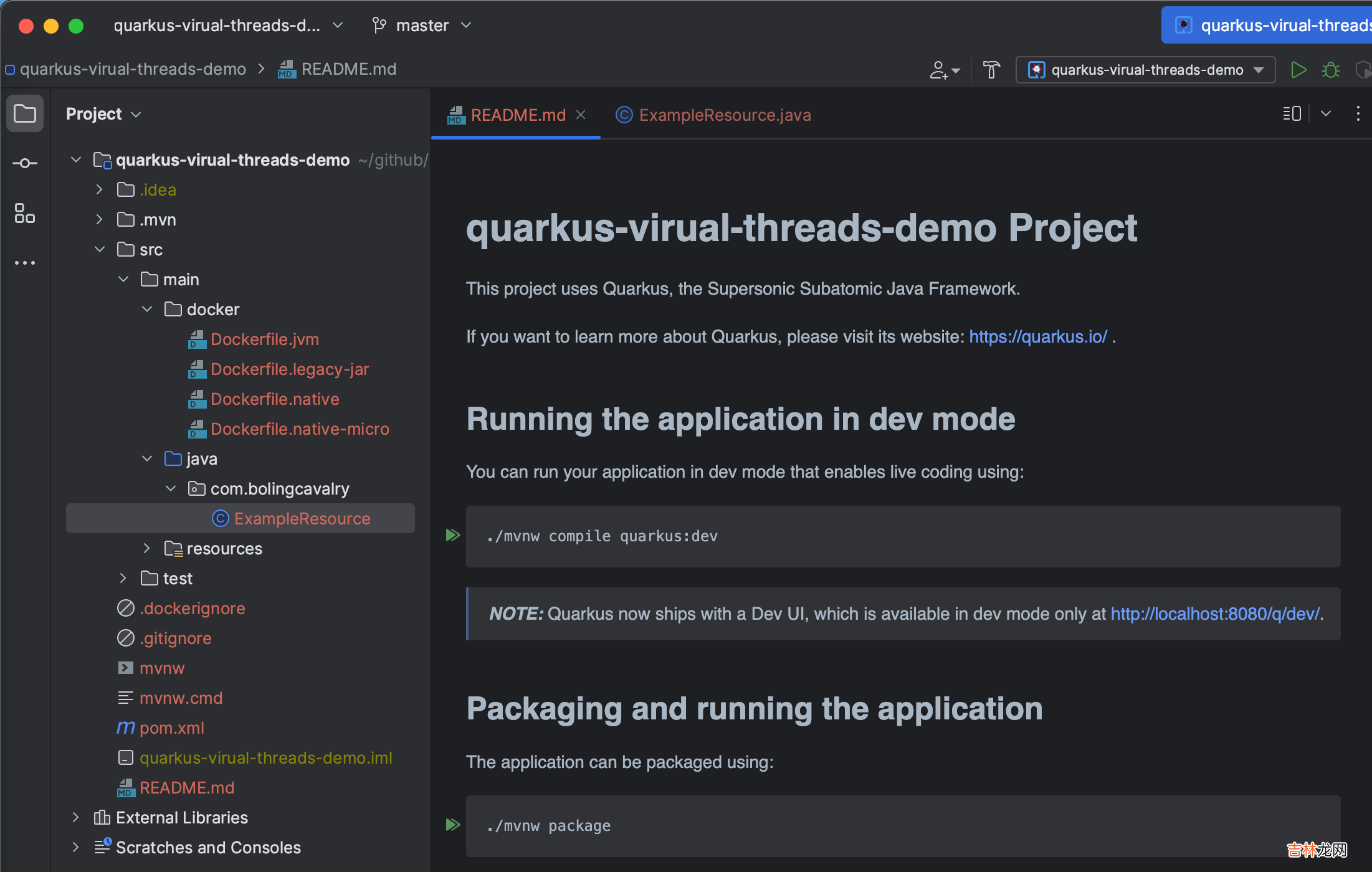支持JDK19虚拟线程的web框架,之二:完整开发一个支持虚拟线程的quarkus应用