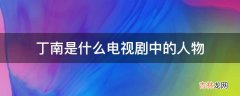 丁南是什么电视剧中的人物?