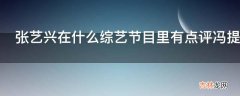 张艺兴在什么综艺节目里有点评冯提莫?