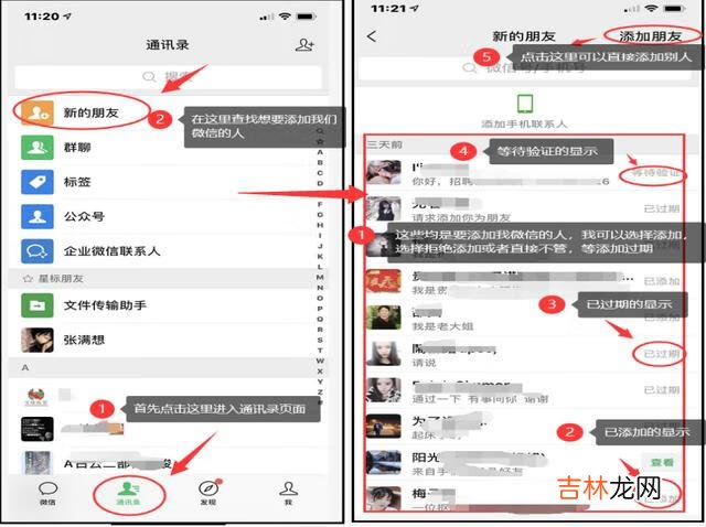 用微信账号怎么添加好友（微信怎么查自己主动添加好友记录)