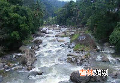 单位级别怎么填写 职级怎么填写