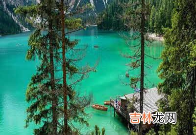 单位级别怎么填写 职级怎么填写