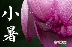 134句 适合小暑节气的文案