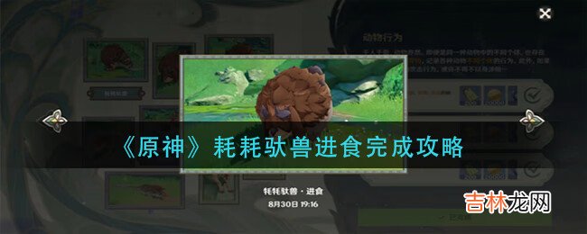 原神耗耗驮兽进食怎么完成