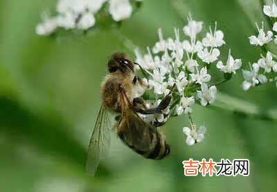 深圳世华地产 世华地产
