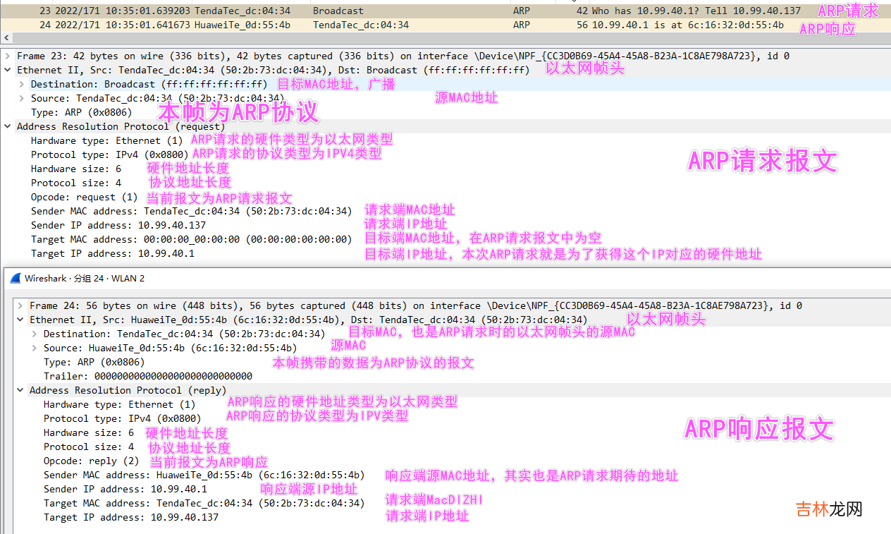 【lwip】08-ARP协议一图笔记及源码实现