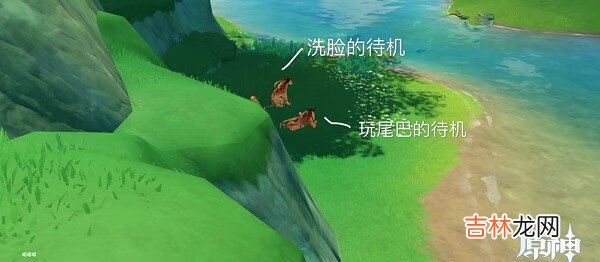 原神动物行为拍摄怎么完成