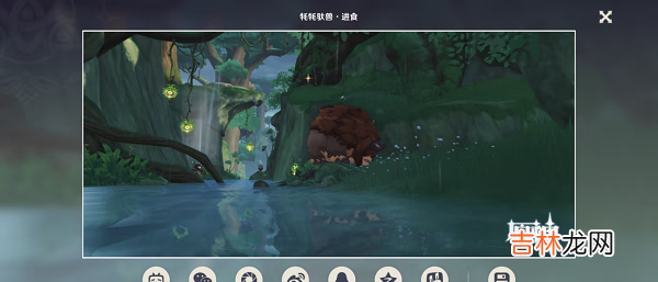 原神动物行为拍摄怎么完成