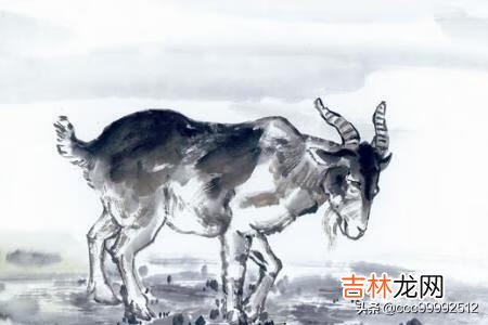 怎么画简单好看的羊(100种画羊的方法)