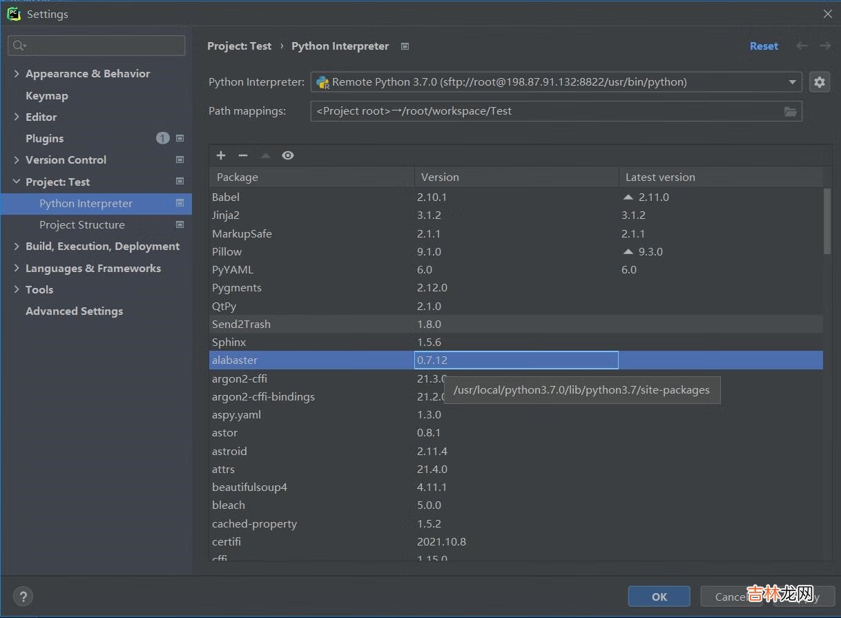 PyCharm配置远程Docker环境