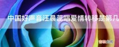 中国好声音汪晨蕊唱爱情转移是第几期?