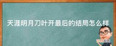 天涯明月刀叶开最后的结局怎么样?