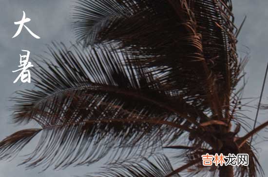 2023大暑具体时间
