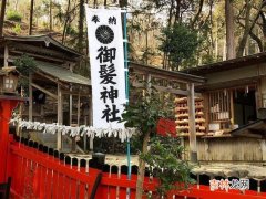 琉璃神社app有苹果的吗