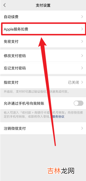 apple微信免密支付是什么意思 apple微信免密支付扣费怎么回事