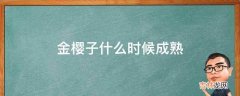 金樱子什么时候成熟?