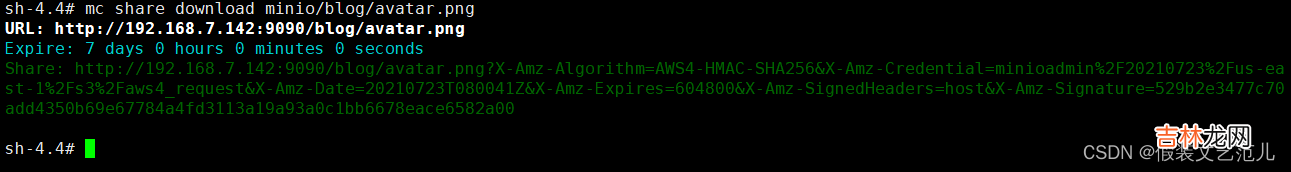 第2-1-5章 docker安装MinIO实现文件存储服务-springboot整合minio-minio全网最全的资料