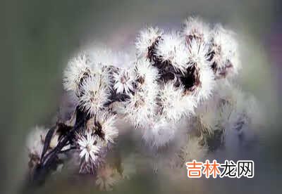 神器传说0.5的攻略 神器传说0.5攻略