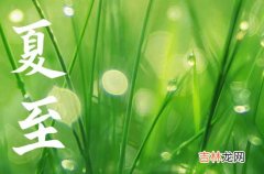 2023年夏至是什么日 2023年夏至是天干什么日