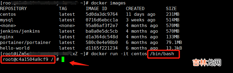Docker | 常用命令——排错很有帮助