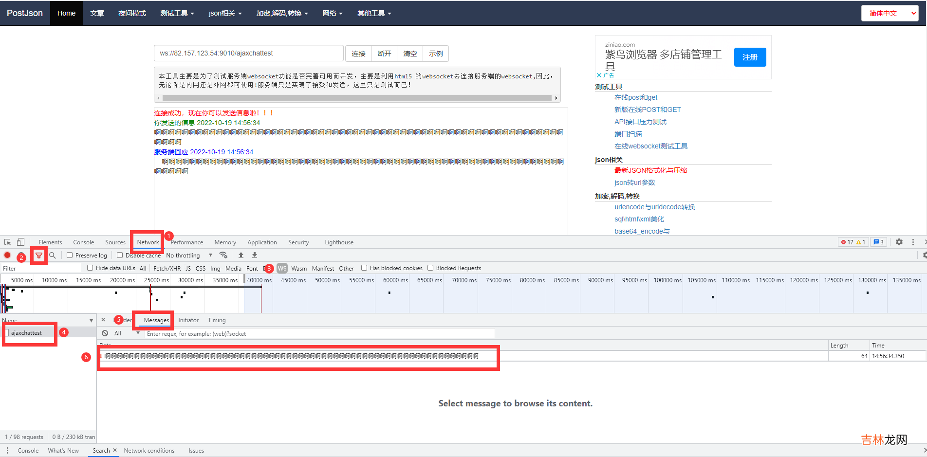 33 《吐血整理》高级系列教程-吃透Fiddler抓包教程-Fiddler如何抓取WebSocket数据包
