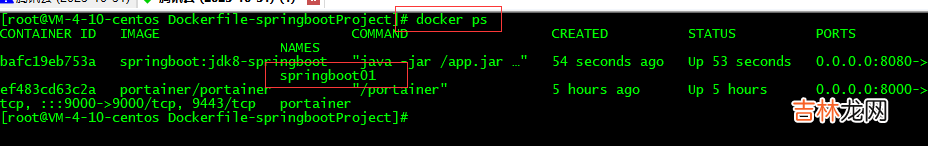 十 SpringCloud - Docker