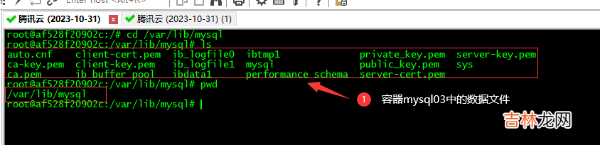 十 SpringCloud - Docker