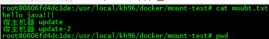 十 SpringCloud - Docker