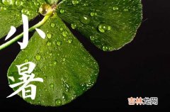 2023年二十四节气中的小暑是几月几日 2023年小暑是哪一天