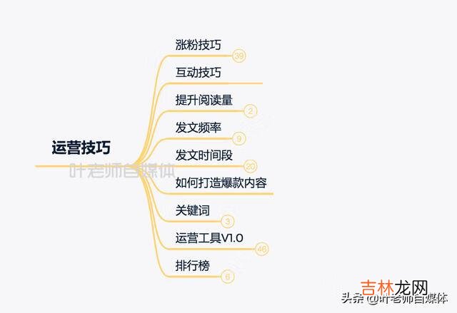 怎么玩今日头条(新手使用今日头条)