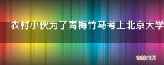 农村小伙为了青梅竹马考上北京大学是什么电视剧?