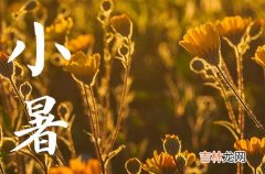 2023年小暑节气是农历几月几日